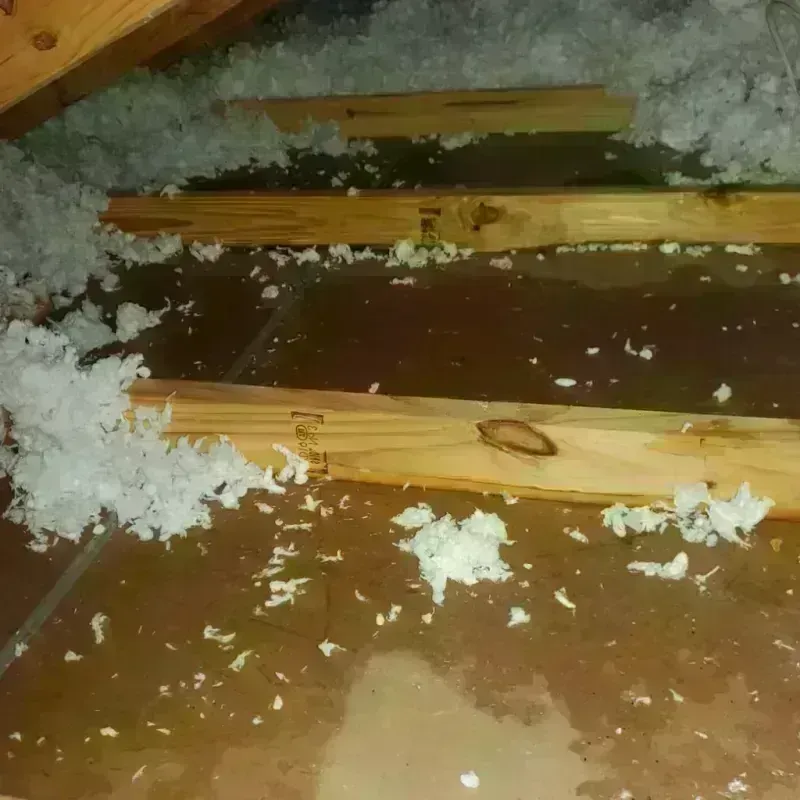 Attic Water Damage in Dravosburg, PA